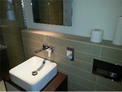 Bathroom Mirror and  Light